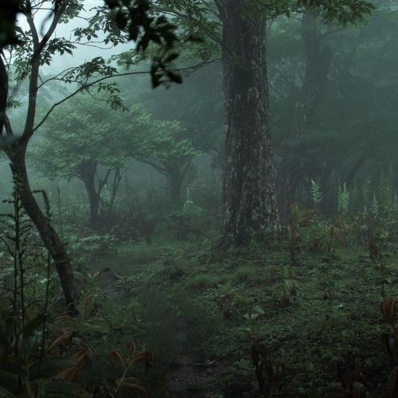 Meet your Posher, Haley - Picture 1 of 1